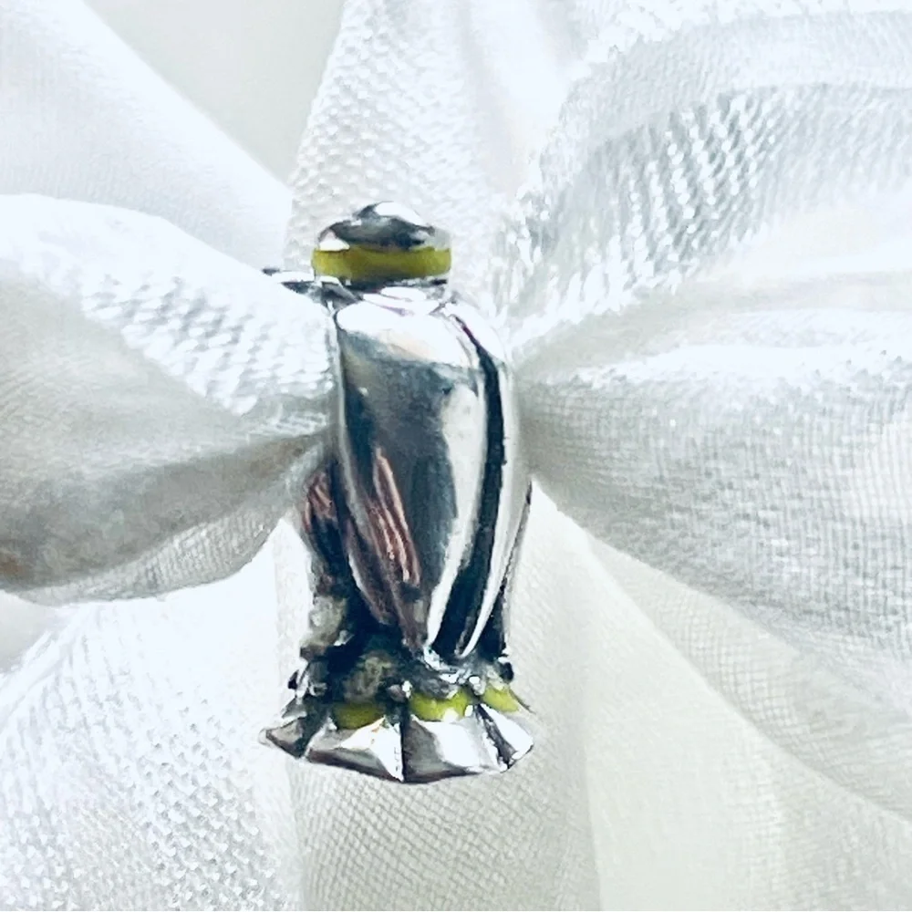 🌹 NWOT Princess Belle Charm